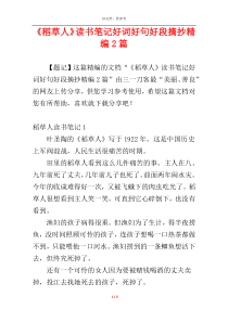 《稻草人》读书笔记好词好句好段摘抄精编2篇
