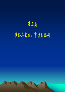 第三篇市场和福利(1)