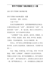 青年节国旗下演讲稿范文5篇
