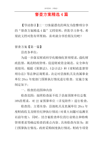 督查方案精选4篇