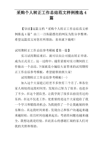 采购个人转正工作总结范文样例推选4篇