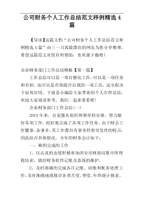 公司财务个人工作总结范文样例精选4篇