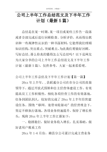 公司上半年工作总结范文及下半年工作计划（最新5篇）