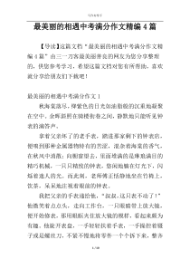 最美丽的相遇中考满分作文精编4篇