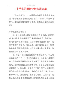 小学生的操行评语实用2篇