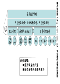 人力资源薪酬管理调查与数据运用（PPT26页）
