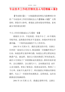 专业技术工作经历情况怎么写【精编4篇】