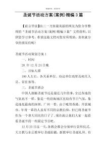 圣诞节活动方案(案例)精编3篇