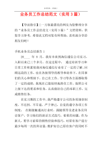 业务员工作总结范文（实用3篇）