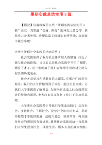 暑期实践总结实用3篇