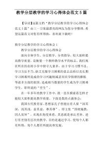教学分层教学的学习心得体会范文5篇