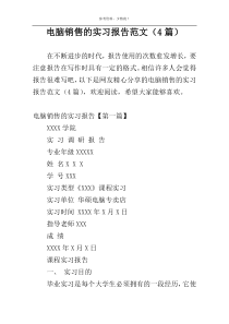 电脑销售的实习报告范文（4篇）