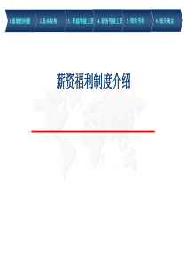 薪资福利结构设计（PPT55页)