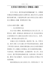 文员实习报告范文【精选4篇】