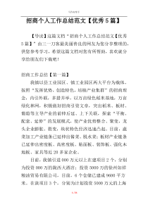 招商个人工作总结范文【优秀5篇】