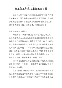 班主任工作实习报告范文3篇