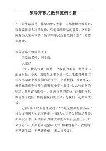 领导开幕式致辞范例5篇