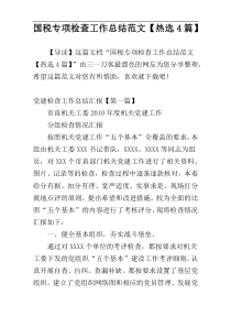 国税专项检查工作总结范文【热选4篇】