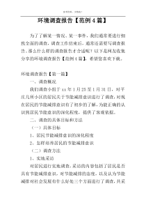 环境调查报告【范例4篇】