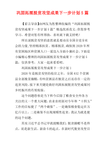 巩固拓展脱贫攻坚成果下一步计划5篇