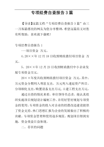 专项经费自查报告3篇
