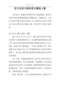 实习生实习报告范文精选4篇