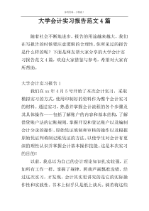 大学会计实习报告范文4篇
