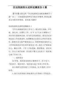 区法院副院长述职述廉报告5篇