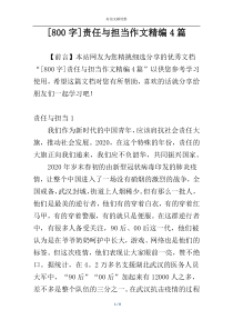 [800字]责任与担当作文精编4篇
