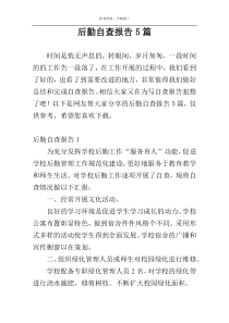 后勤自查报告5篇