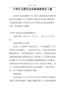 大学生马原社会实践调查报告2篇