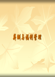 薪酬及福利管理讲义(ppt 30) 