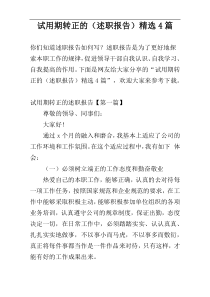 试用期转正的（述职报告）精选4篇