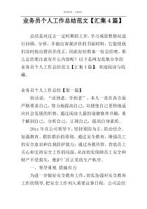 业务员个人工作总结范文【汇集4篇】