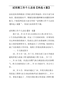 试用期工作个人总结【热选4篇】