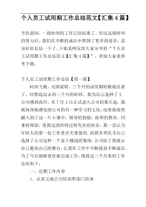 个人员工试用期工作总结范文【汇集4篇】