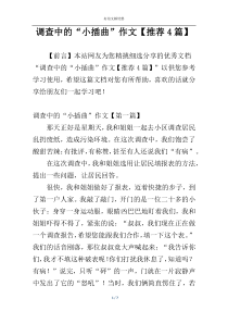 调查中的“小插曲”作文【推荐4篇】