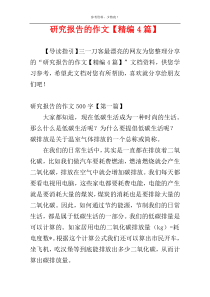研究报告的作文【精编4篇】