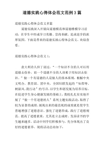道德实践心得体会范文范例3篇