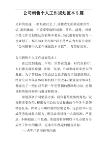 公司销售个人工作规划范本5篇