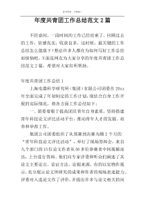 年度共青团工作总结范文2篇