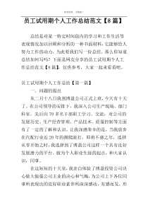 员工试用期个人工作总结范文【8篇】