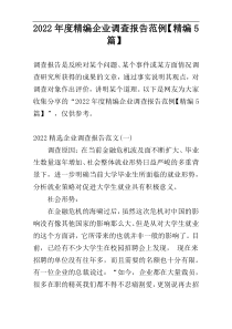 2022年度精编企业调查报告范例【精编5篇】