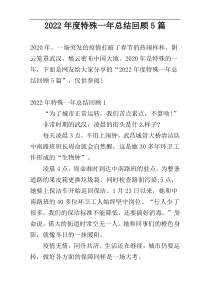 2022年度特殊一年总结回顾5篇