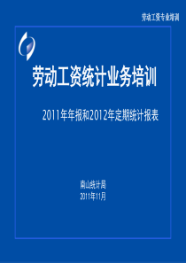 南山区劳动工资培训讲义
