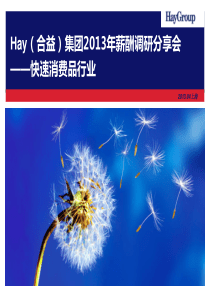 合益集团(HayGroup)XXXX年薪酬调研分享会_快消行业_上