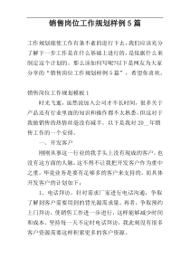 销售岗位工作规划样例5篇