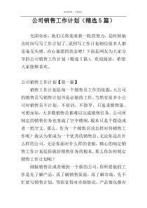 公司销售工作计划（精选5篇）
