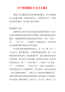 关于按纲建队计划【4篇】