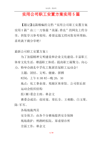 实用公司职工安置方案实用5篇